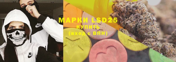 гашик Алексин
