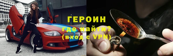 гашик Алексин