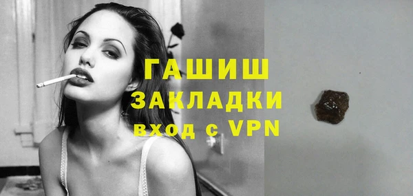 гашик Алексин