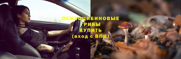 мяу мяу мука Надым