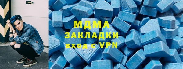 гашик Алексин