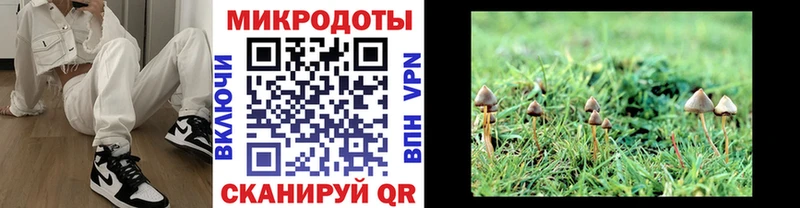 Галлюциногенные грибы GOLDEN TEACHER  Купить  Выборг 